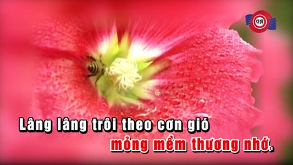 Bay Vào Ngày Xanh - Trần Thu Hà