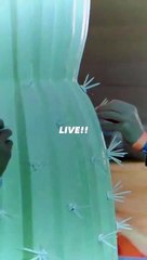 Travis Scott dévoile sa collaboration avec Dior. Juin 2021