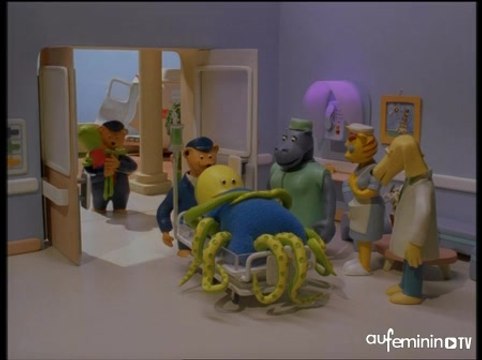 HOPITAL HILLTOP PLEIN LES PATTES