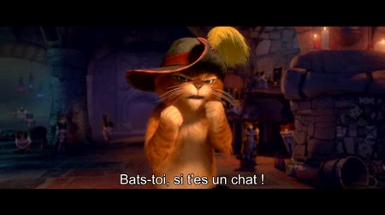 Extrait : Le Chat Potté se lâche sur la piste de danse