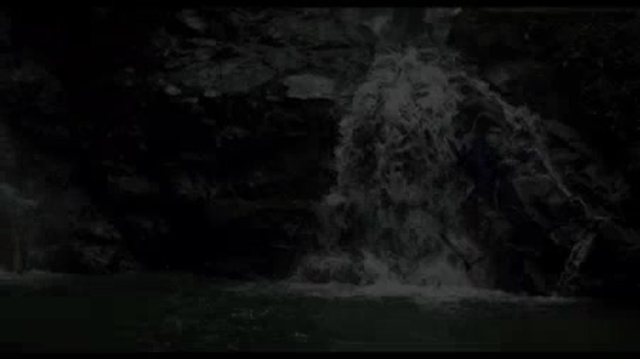 Disney-Pollen