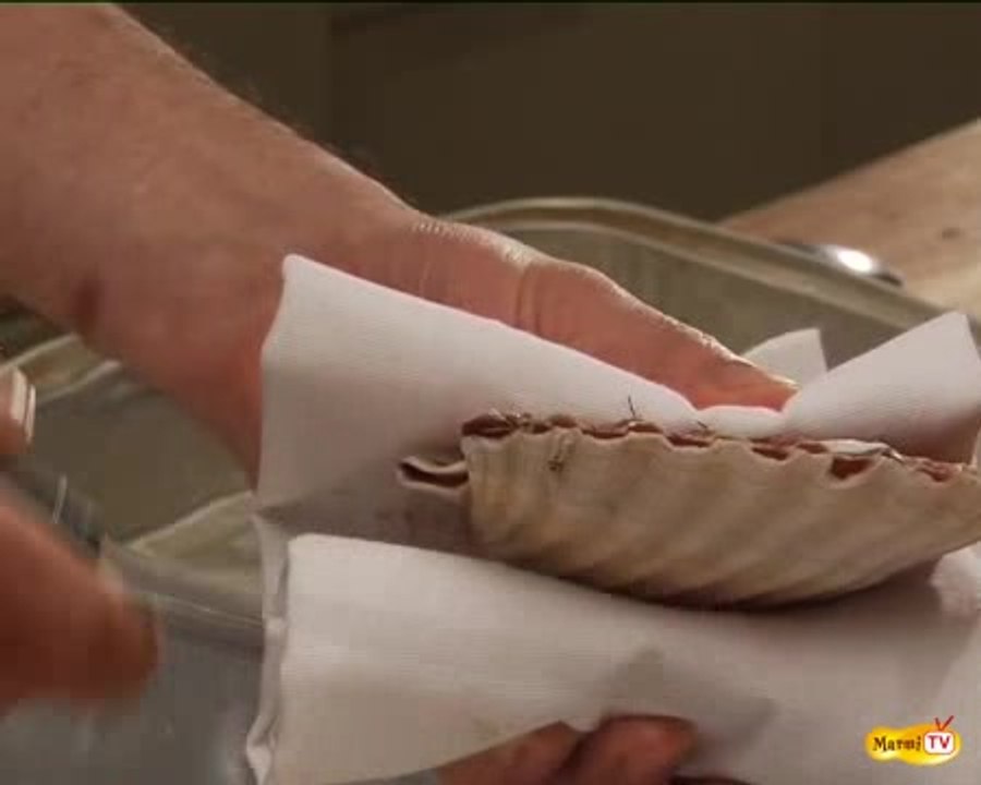 Technique en vidéo pour ouvrir une coquille saint jacques