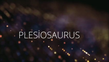 PLESIOSAURUS DINOSAUR FEATURES