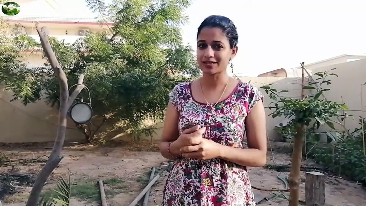 Lady Making Bamboo House In Dubai | 1 Month Building | Bamboo Hut Part 1 | How To Make Bamboo Villa