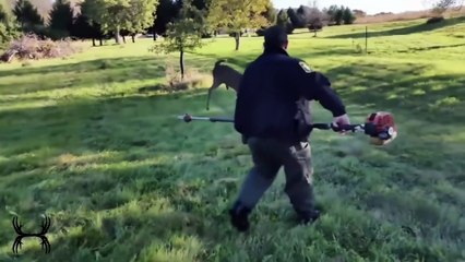 Kind and touching actions people save wild animals in trouble