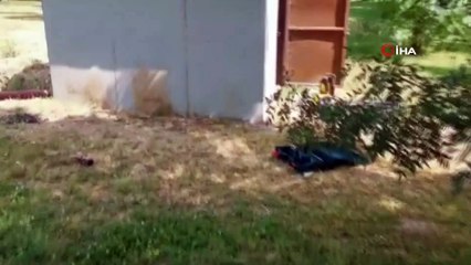 Yavruları kurtarılana kadar başlarında bekledi