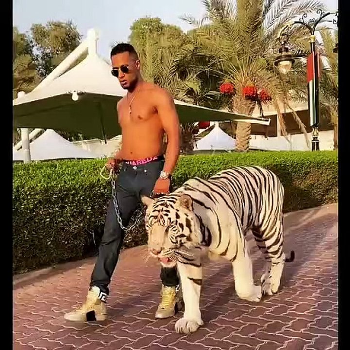 محمد رمضان والنمر