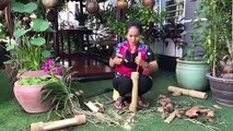 Diy Orchids - How To Plant Orchids In Bamboo. This Idea For In Door And Out Door | The Diy Crafts