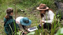 Kids go beyond classroom walls to learn in nature