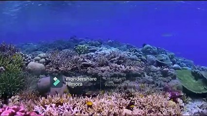 AMAZING Beautiful Nature with Relaxing Music and sound