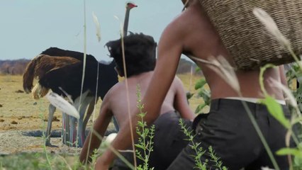 Smart Boy Steal Ostrich Egg And Cooking