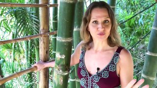 Amazing Flying Bamboo House Tour: Relaxing In Costa Rica | Olivia Kissper