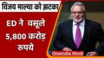 ED ने  Vijay Mallya से वसूले 5,800 करोड़ रुपये, अब तक कर्ज का 40 प्रतिशत हुआ रिकवर | वनइंडिया हिंदी