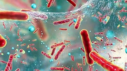 ¿Sabes qué alimento no caduca? - Vida Sana - CTV New Bolivia