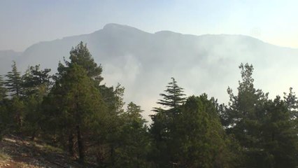 Tarsus'ta çıkan orman yangınına müdahale ediliyor