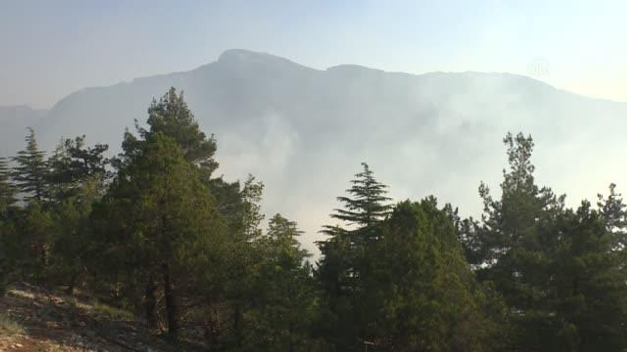 Tarsus'ta çıkan orman yangınına müdahale ediliyor