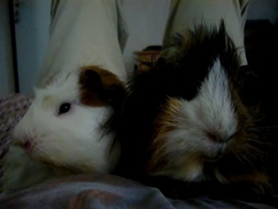 Billy & Tity