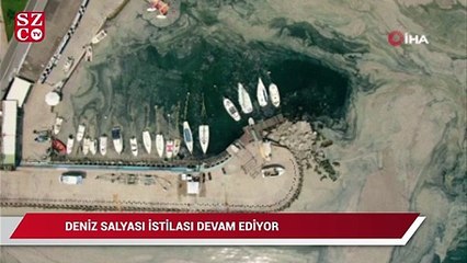 İstanbul’da deniz salyası istilası devam ediyor