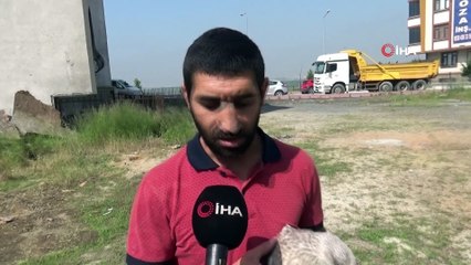 Yaralı martıyı yanından ayırmıyor, gittiği her yere götürüyor