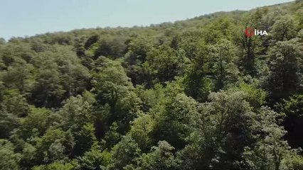 Son dakika haberi! Vahşi hayattan 'polisin kamerasına' yansıyanlar