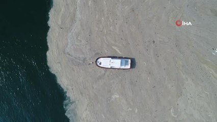 İstanbul'da deniz salyası istilası devam ediyor