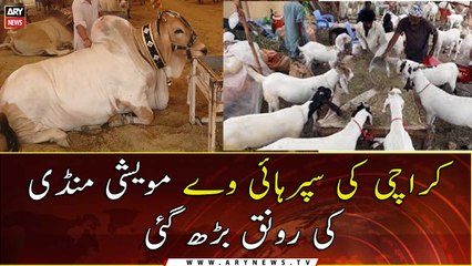 Over 10,000 above animals have reached Karachi’s cattle market at superhighway