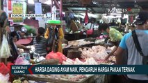 Harga Ayam Potong di Sorong Naik yang Naik Jadi Rp 38.000 Per Kilo