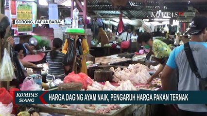 Harga Ayam Potong di Sorong Naik yang Naik Jadi Rp 38.000 Per Kilo