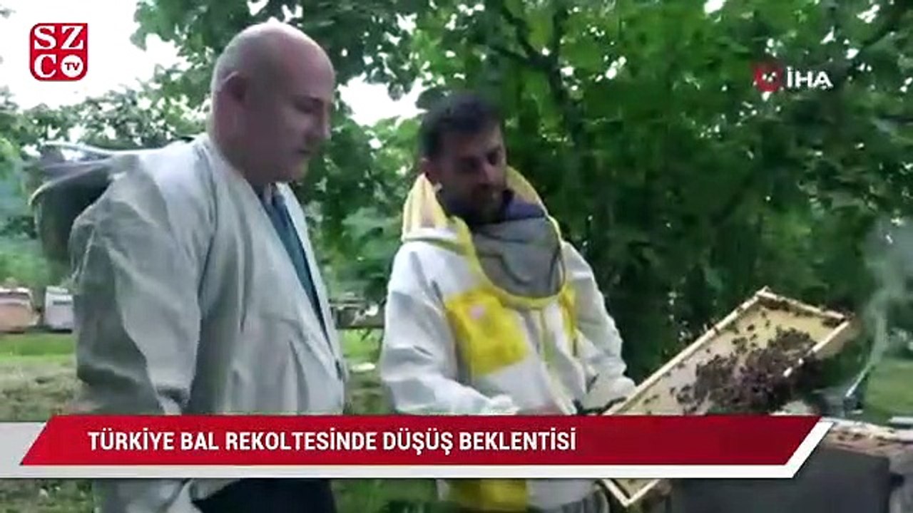 Türkiye bal rekoltesinde düşüş beklentisi
