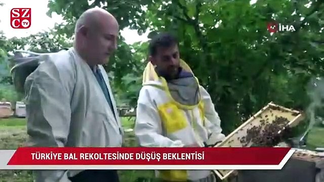Türkiye bal rekoltesinde düşüş beklentisi