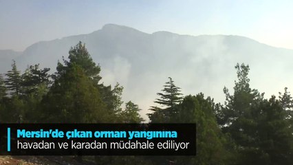 Mersin'de çıkan orman yangınına havadan ve karadan müdahale ediliyor