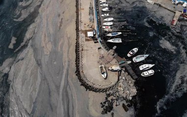 İstanbul'da deniz salyası istilası devam ediyor