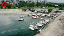Marmara'da deniz salyası istilası devam ediyor