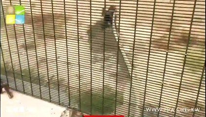"البيئة" تخالف إحدى الشركات لتصريفها مخلّفات سائلة في البيئة البرية