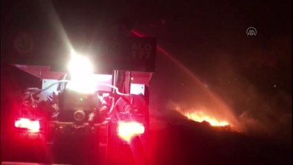 BİNGÖL - Genç'te çıkan orman yangınına müdahale ediliyor