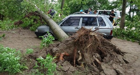 Edirne’de şiddetli fırtına ağaçları devirdi