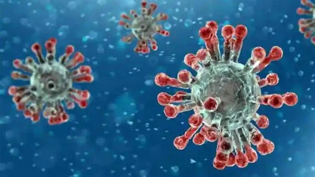 Delta Plus variant more contagious than others: scientists