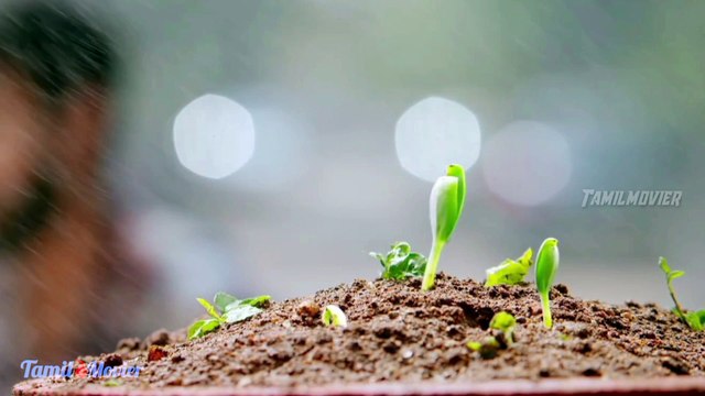 megangal ennai thottu song whats app status tamil