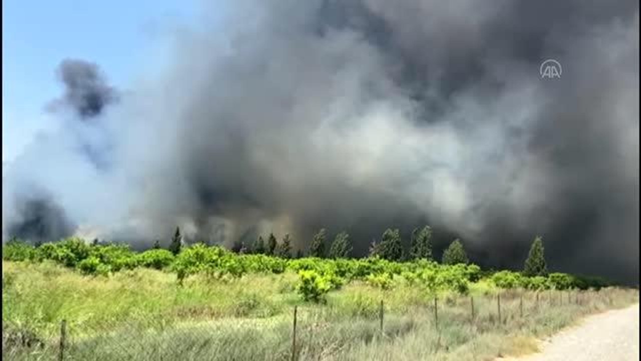 Son dakika haberleri! Plastik atık deposunda çıkan yangın ormana sıçradı