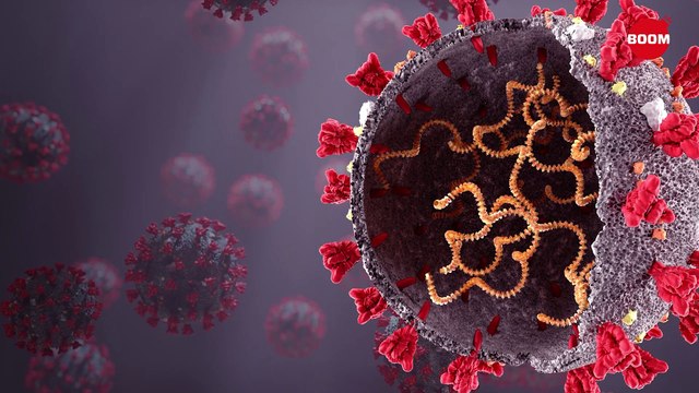 Delta Plus Variant: Can It Trigger The Third COVID-19 Wave? | BOOM | Covid19 India