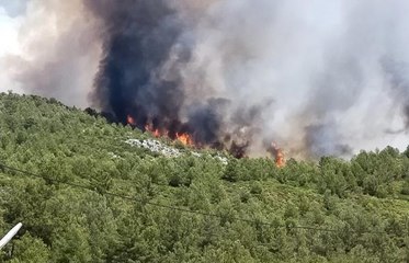 KAŞ'TA ORMAN YANGINI ÇIKTI