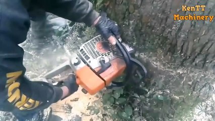 Incredible This man Speed Skills Felling Tree I ever seen - Extreme  Cutting Tree Chainsaw Machine