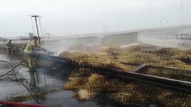 Seyir halindeyken alev alan traktöre bağlı saman yüklü römorklar yandı