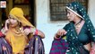 ऐसी कॉमेडी पहले नहीं देखी होगी | नखराली बहू का नखरा नियारा | Rajasthani Comedy | Desi Marwadi Video | Short Films / Movies | FULL HD