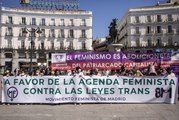 Feministas de toda España se manifiestan contra la Ley Trans