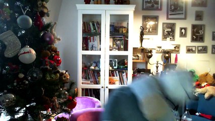 Wiwi muppetshowise "una rosa blanca"