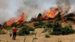 Bingöl'de 14 gün sonra aynı yerde orman yangını! 10 kilometrelik alana yayıldı