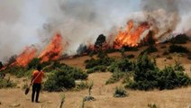 Bingöl'de 14 gün sonra aynı yerde orman yangını! 10 kilometrelik alana yayıldı