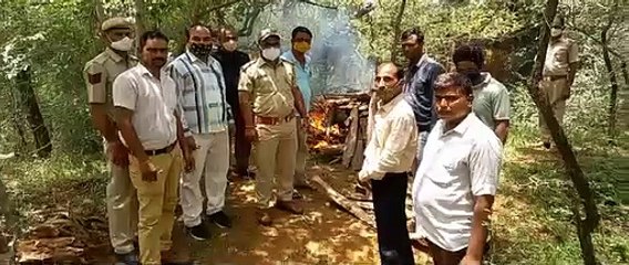 कुएं से निकाले दोनों शावकों की उपचार में हुई मौत 5-6 दिन पहले कुएं में गिरने की जताई जा रही आशंका