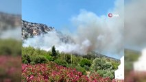 Antalya'nın Kaş ilçesinde orman yangını